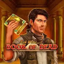 Book of Dead by Play'n GO, showcased at lemonkasyno-pl.pl – game logo